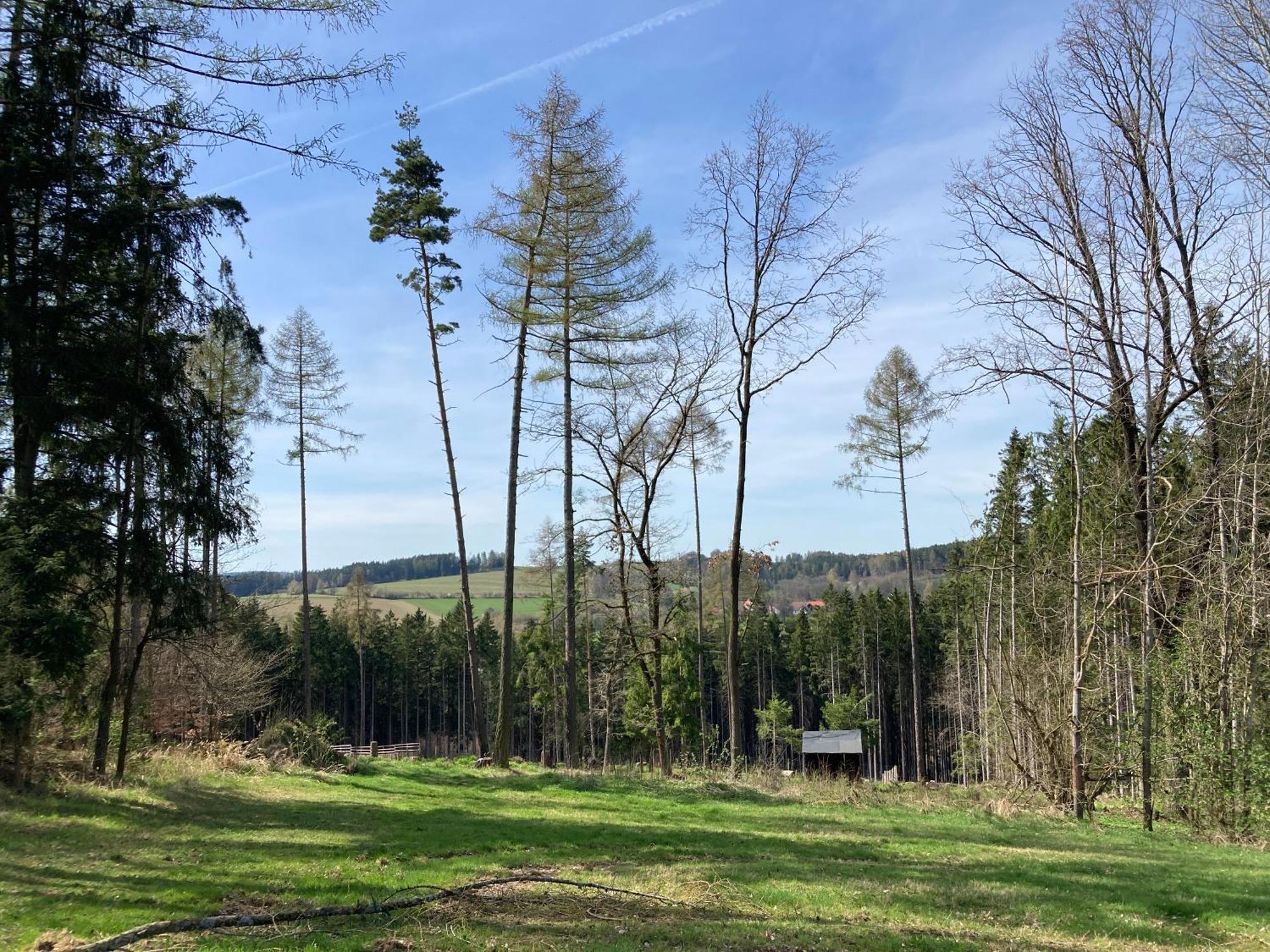 Stodola 63 Villa Pacov Exteriör bild